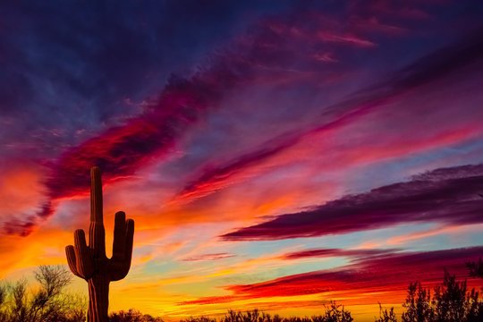 Home page sunset